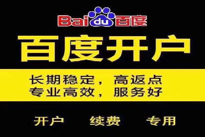 搜索开户返点揭秘：成功案例分享